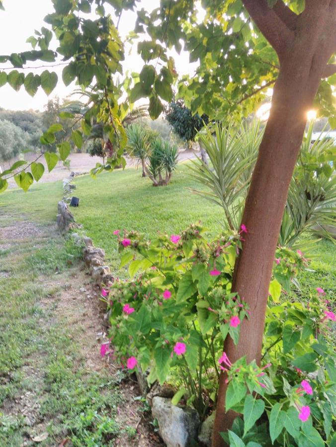 Quinta Da Perdiz Country House Villa Santarém Екстериор снимка