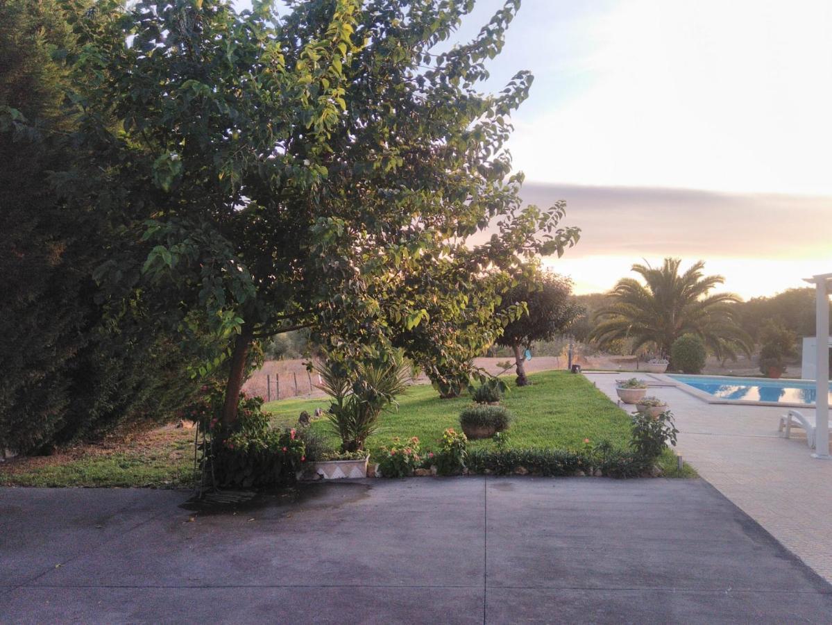 Quinta Da Perdiz Country House Villa Santarém Екстериор снимка